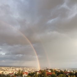 Rainbow 